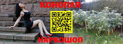 дмт Тара