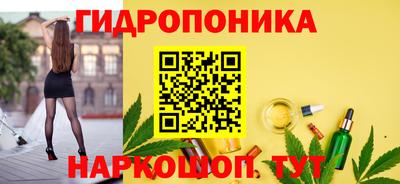 дмт Тара
