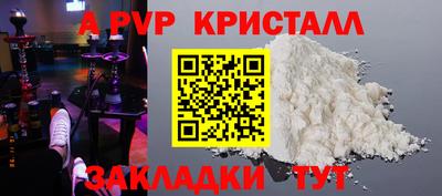 дмт Тара