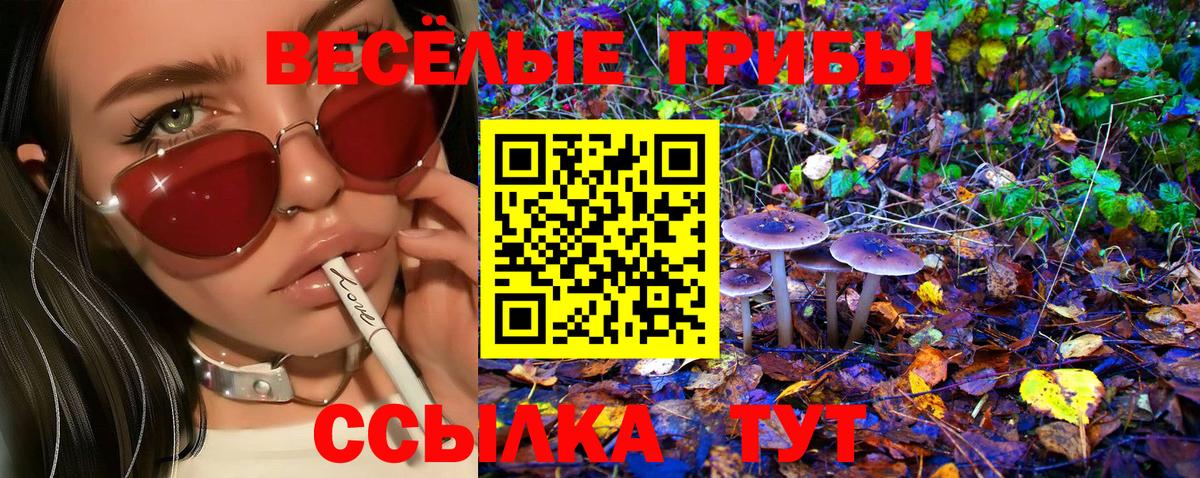 Псилоцибиновые грибы ЛСД  Галлюциногенные грибы прущие грибы  Вход с VPN  Новый Уренгой 