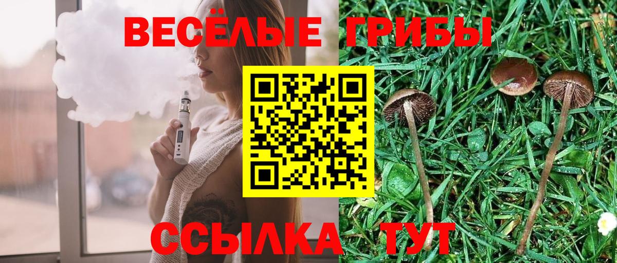 Псилоцибиновые грибы прущие грибы Новый Уренгой